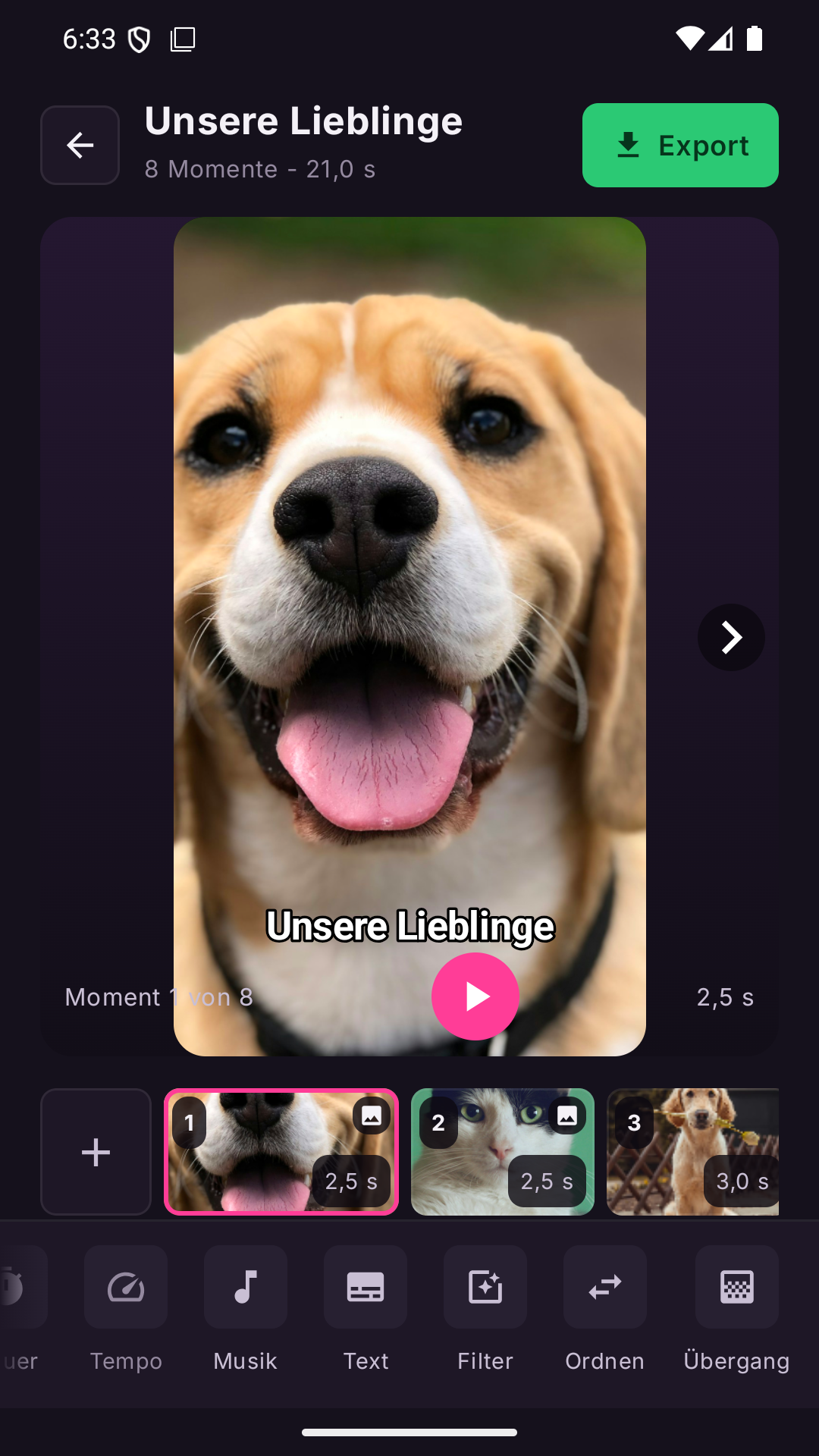 Vidsena-Entwicklungsansicht des Projekts Unsere Lieblinge mit Hund- und Katzenmomenten